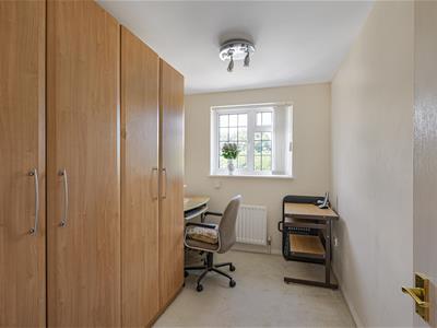 Picture 15